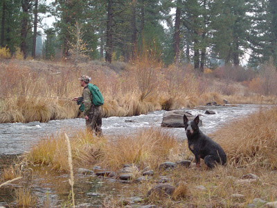 fly fishing dog